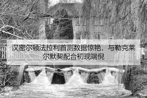 han-mi-er-dun-fa-la-li-shou-ce-shu-ju-jing-yan-yu-lei-ke-lai-er-mo-qi-pei-he-chu-xian-duan-ni-3-222.jpg